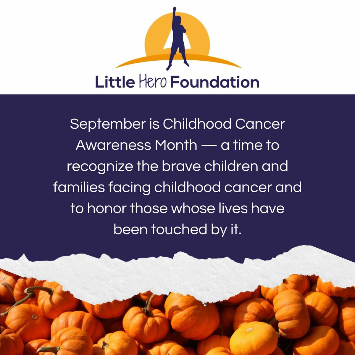 Little Hero Foundation
